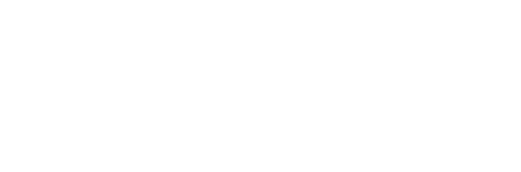 Neo4j logo